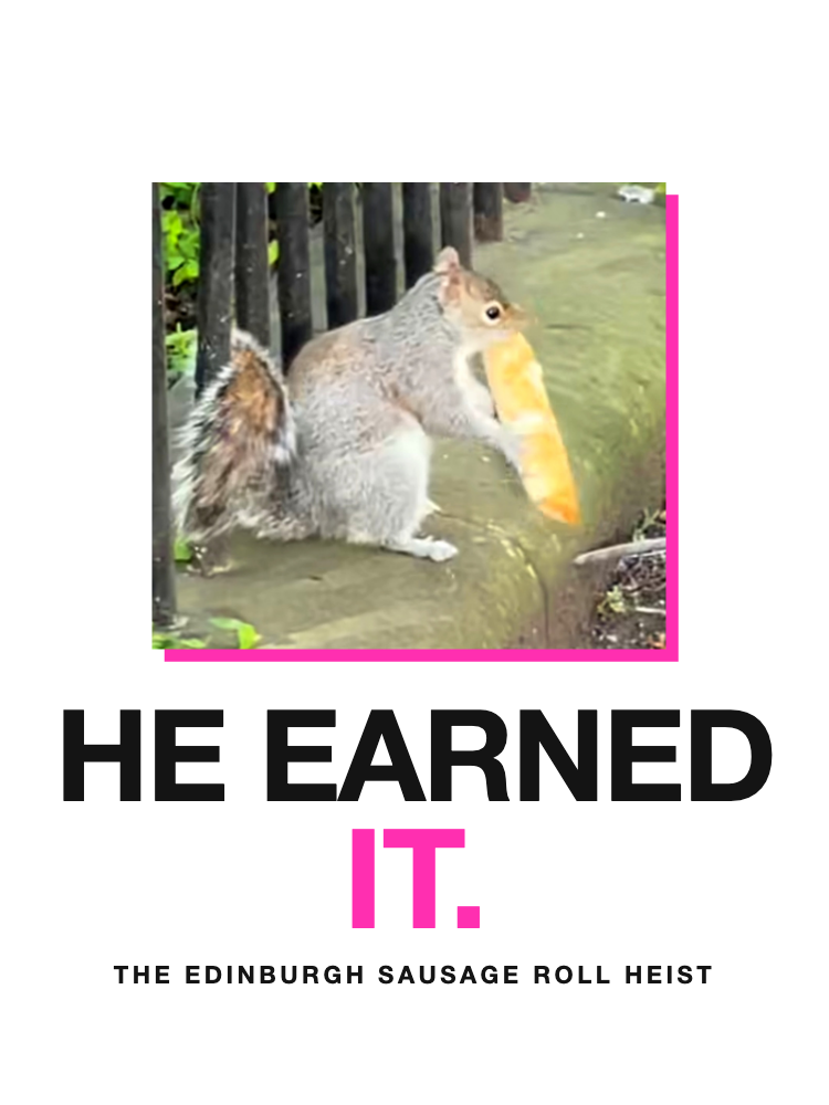 The squirrel